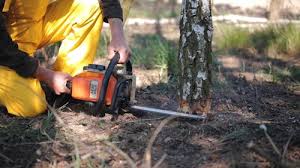 Leaf Removal in Orange Lake, NY